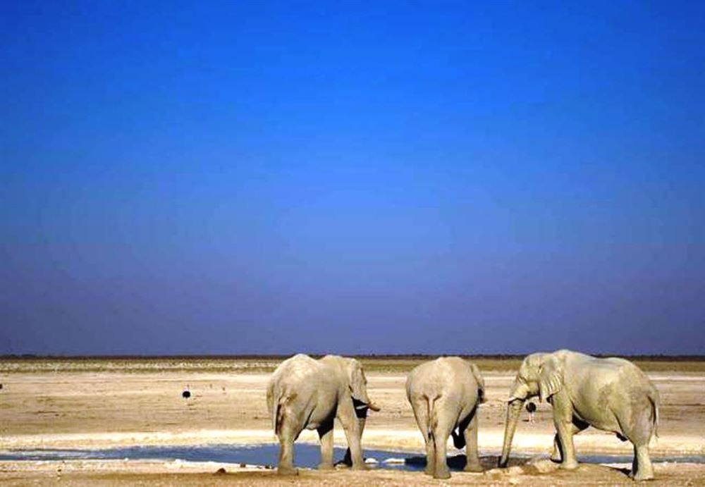 Lodge Safari - Desert, Rivers, and Adventure — 6